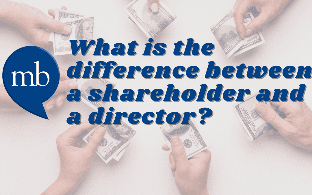 What is the difference between a shareholder and a director?